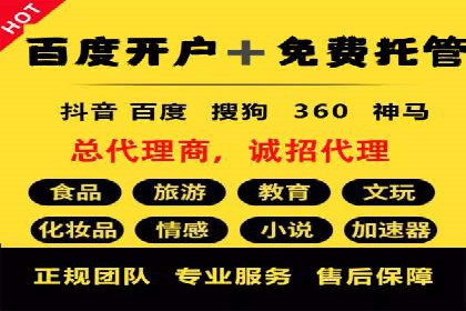 竞价代运营成功案例解析